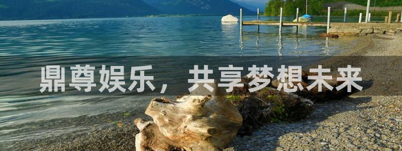 恒盛娱乐登陆：鼎尊娱乐，共享梦想未来