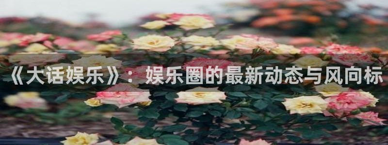 恒盛娱乐登陆：《大话娱乐》：娱乐圈的最新动态与风向标