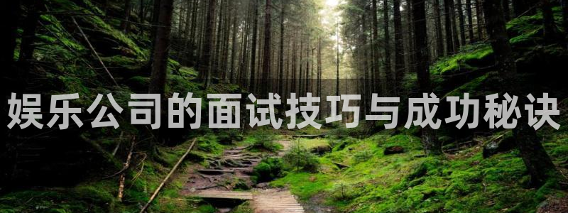 恒盛娱乐下载：娱乐公司的面试技巧与成功秘诀