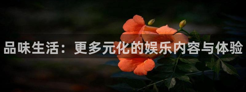 恒盛娱乐：品味生活：更多元化的娱乐内容与体验